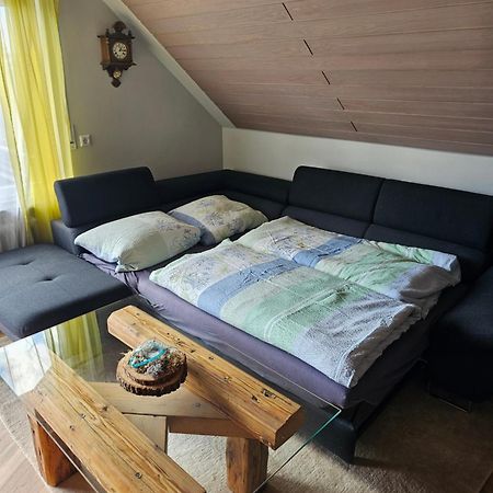Chickenhill Blackforest, Grosse Ferienwohnung Im Schwarzwald 바드윌드바드 외부 사진